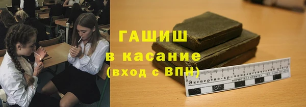 индика Няндома