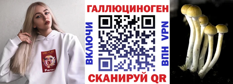 нарко площадка состав Кировск Галлюциногенные грибы Psilocybine cubensis наркота