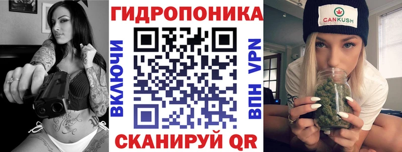 закладки Кировск OMG как войти Шишки марихуана VHQ